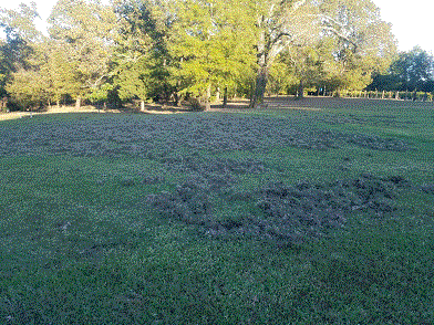 Damage 11-1-20 #3.gif