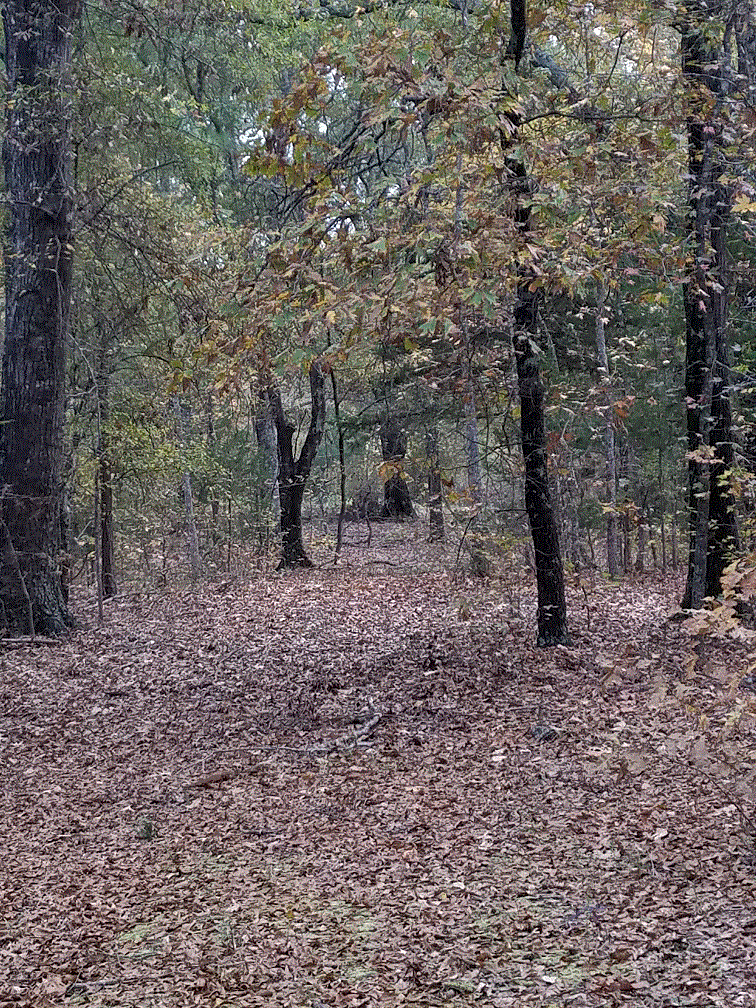 Houseplace Road.gif