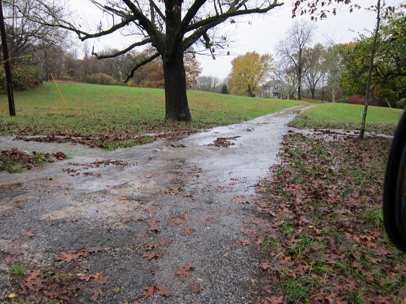 IMG_0463.JPG