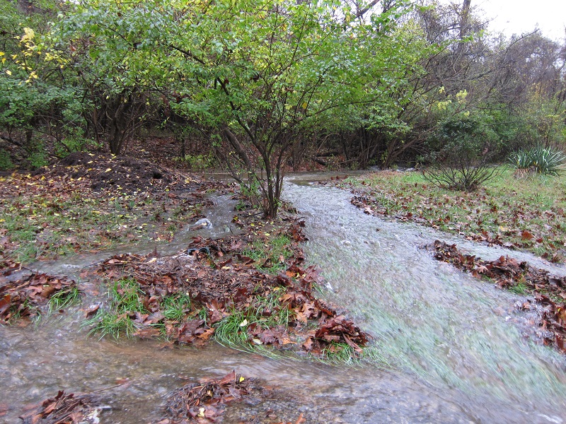 IMG_0464.JPG