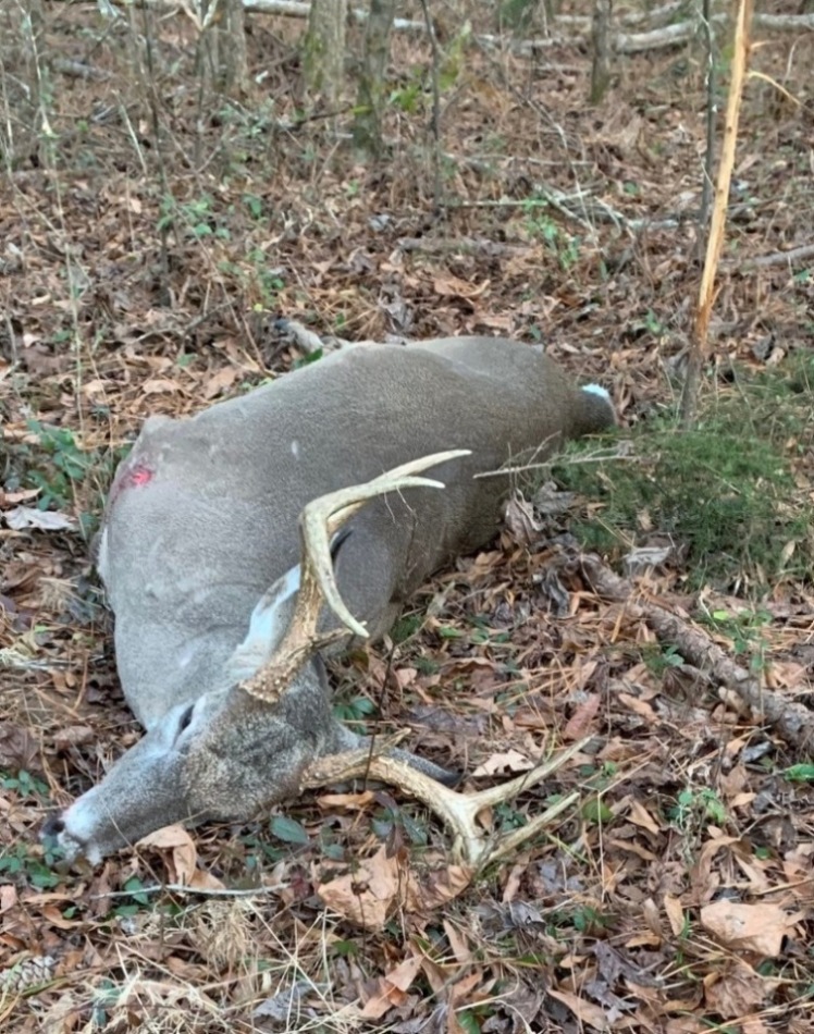 8 Pt. Jan-2021-A.jpg