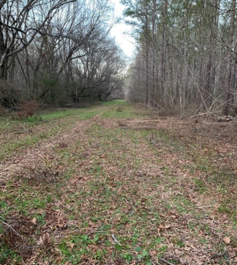 8 Pt. Jan. 2021-B.jpg