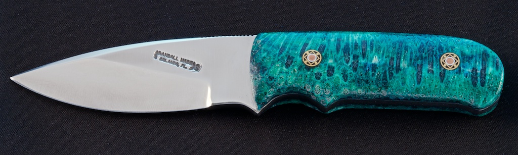 Fossil Brain Coral Triathelete Front.jpg