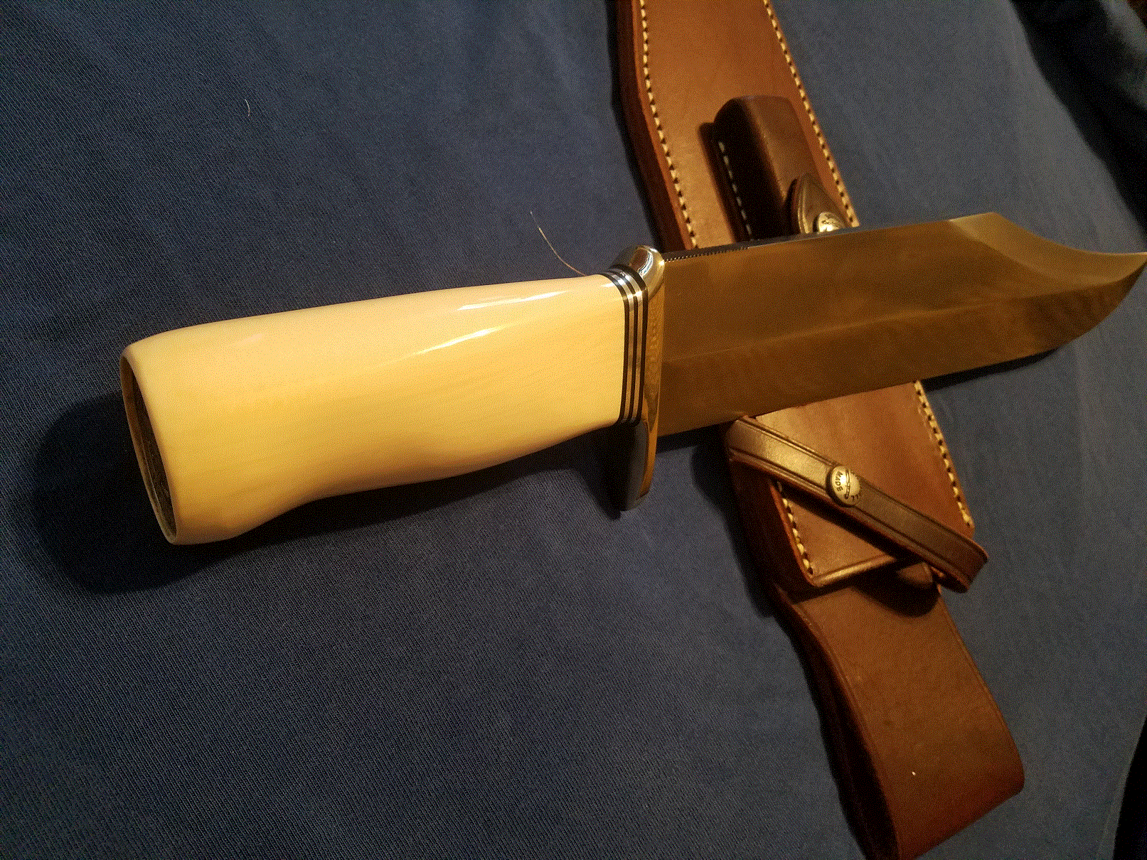 Smitty on Sheath 2.gif