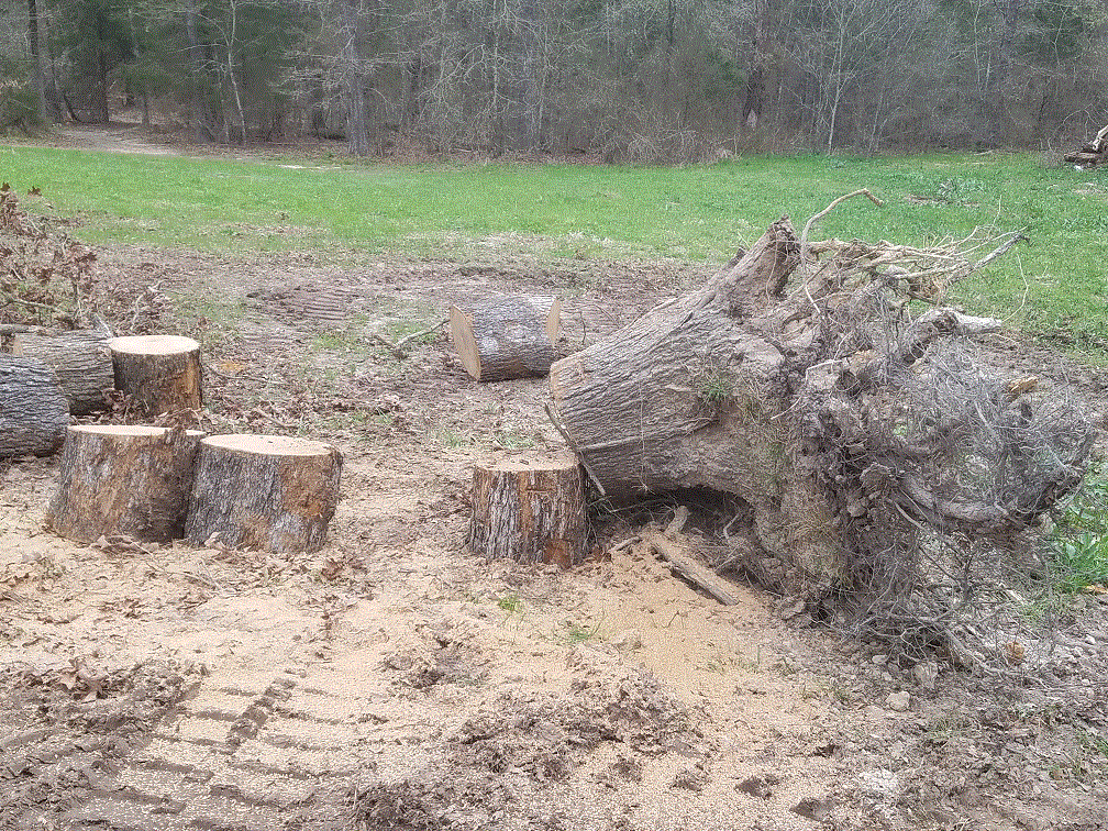 Last Big Log.gif