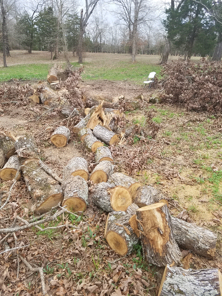All cut up.gif