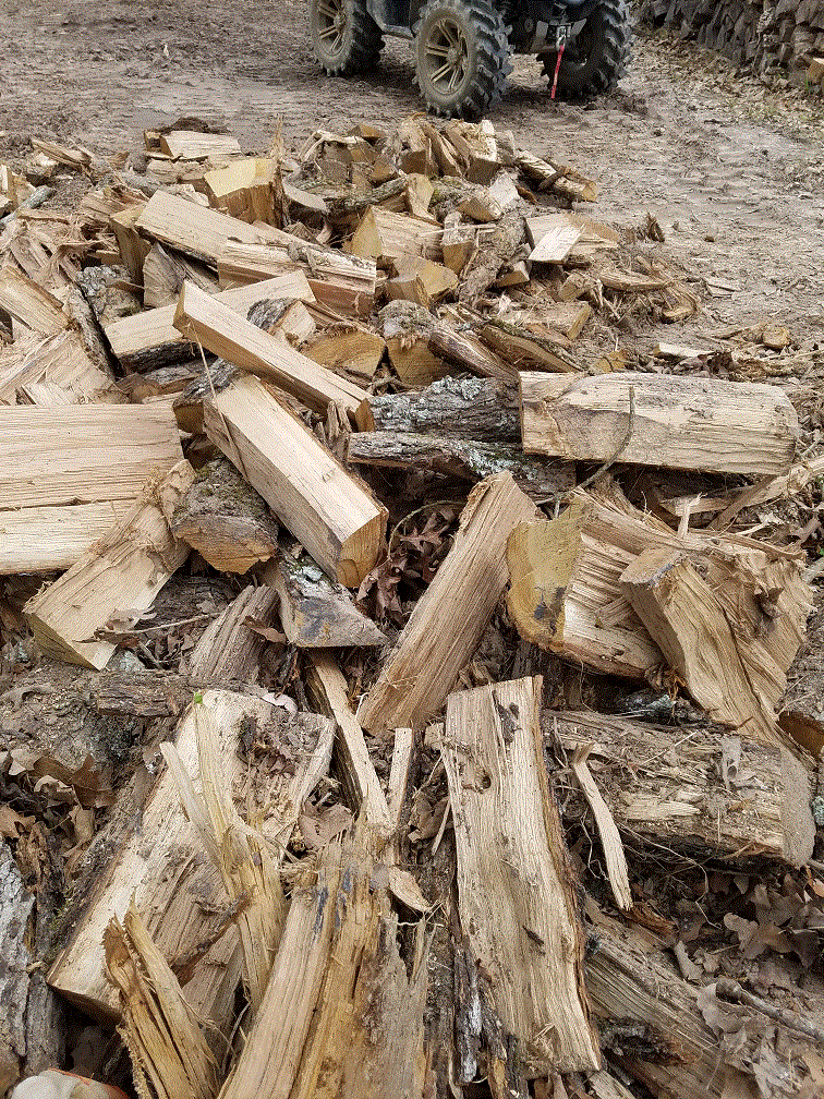Split Wood on the ground.gif