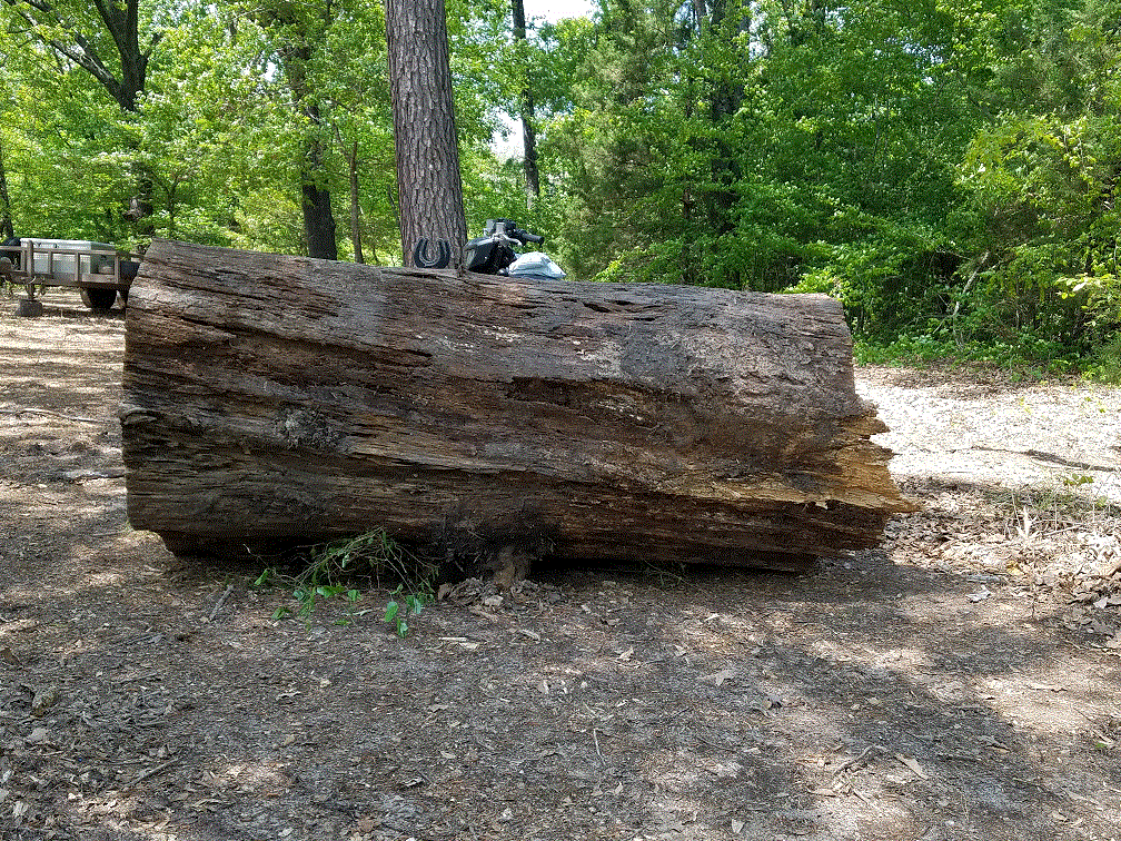 Big Log Length wise.gif