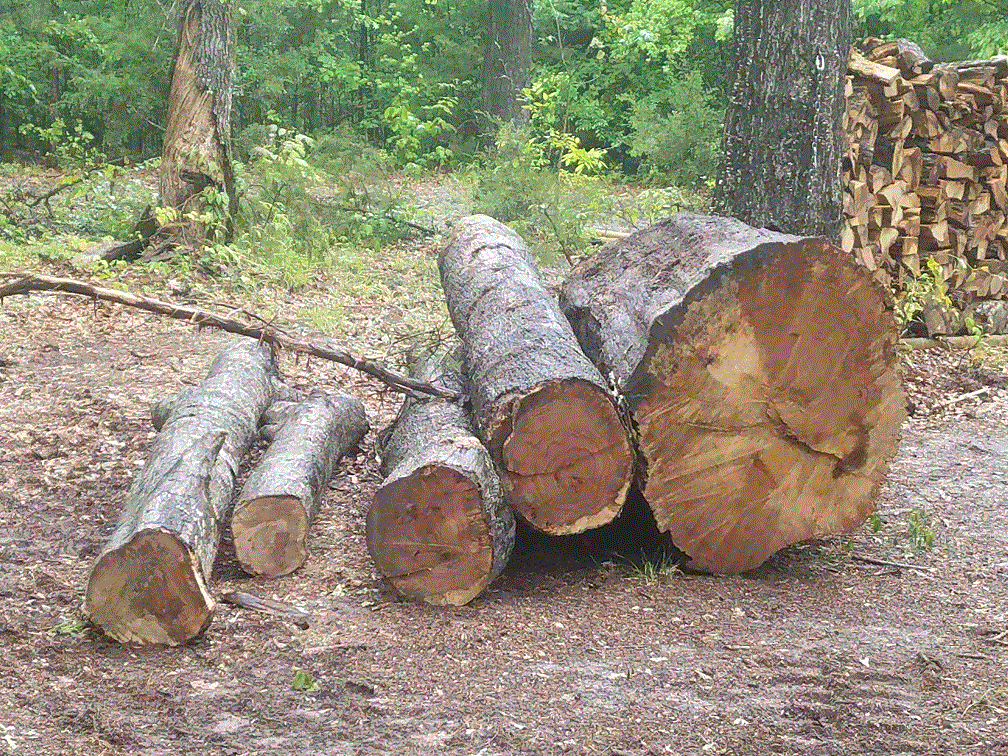 All logs 4-23-21.gif