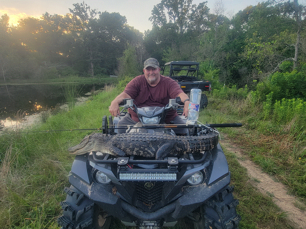 Gator on the 4 wheeler.gif