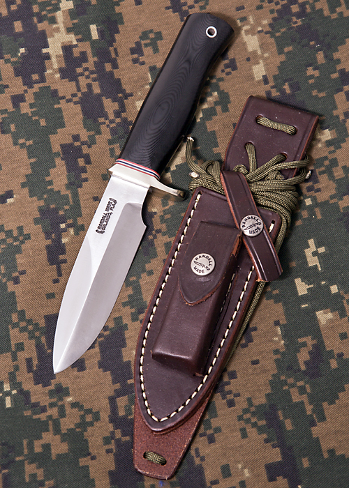 CC-NS1, BM, WT, %22C%22.jpg