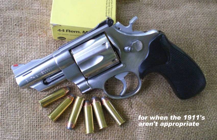 s&w_629a.jpg