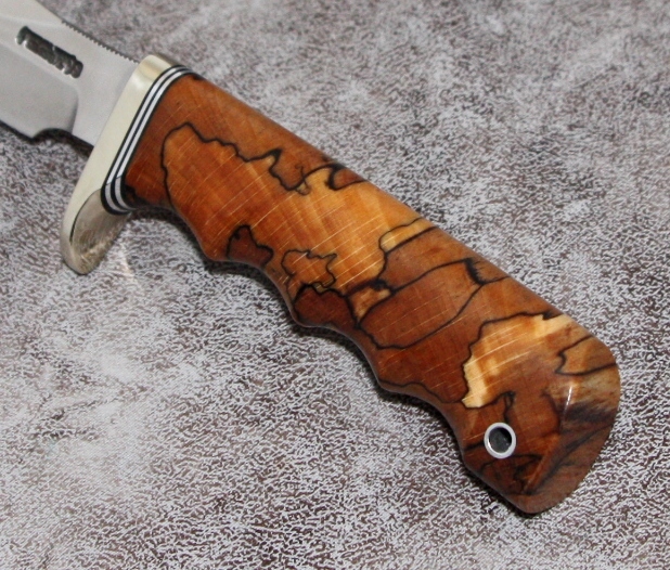 SSP-4-Beech-Aug-17-D.JPG