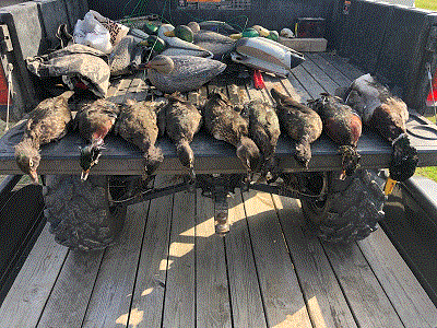 Ag Teachers Duck Hunt.gif