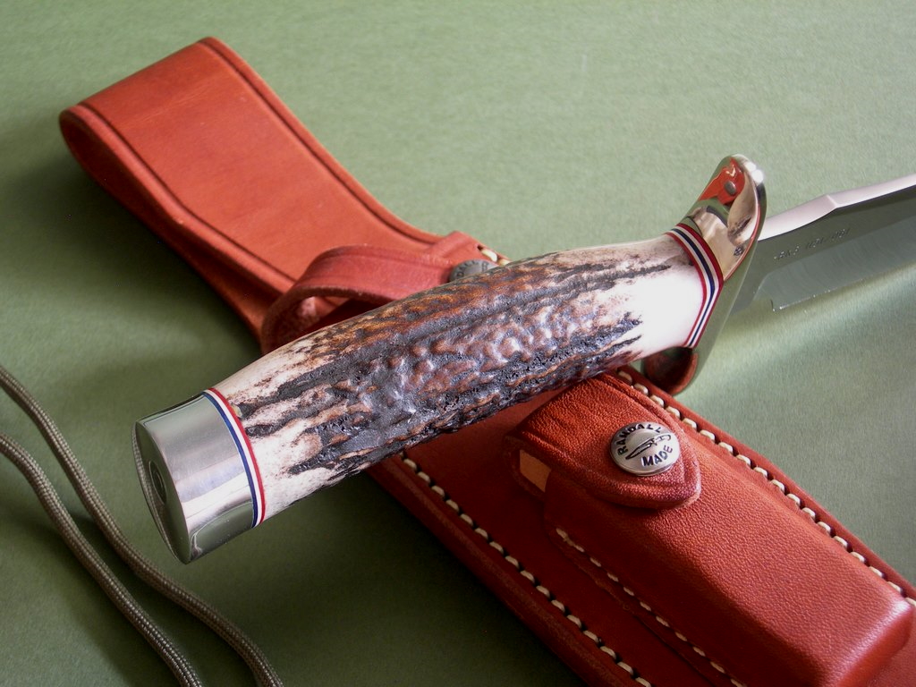 007.JPG
