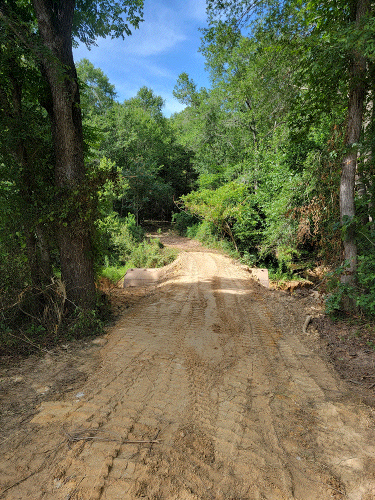 Road to the Rhinos.gif