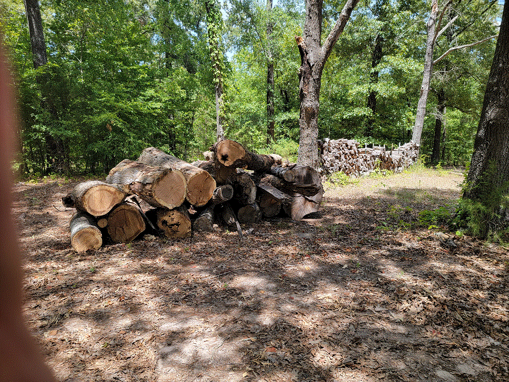 Log Pile.gif
