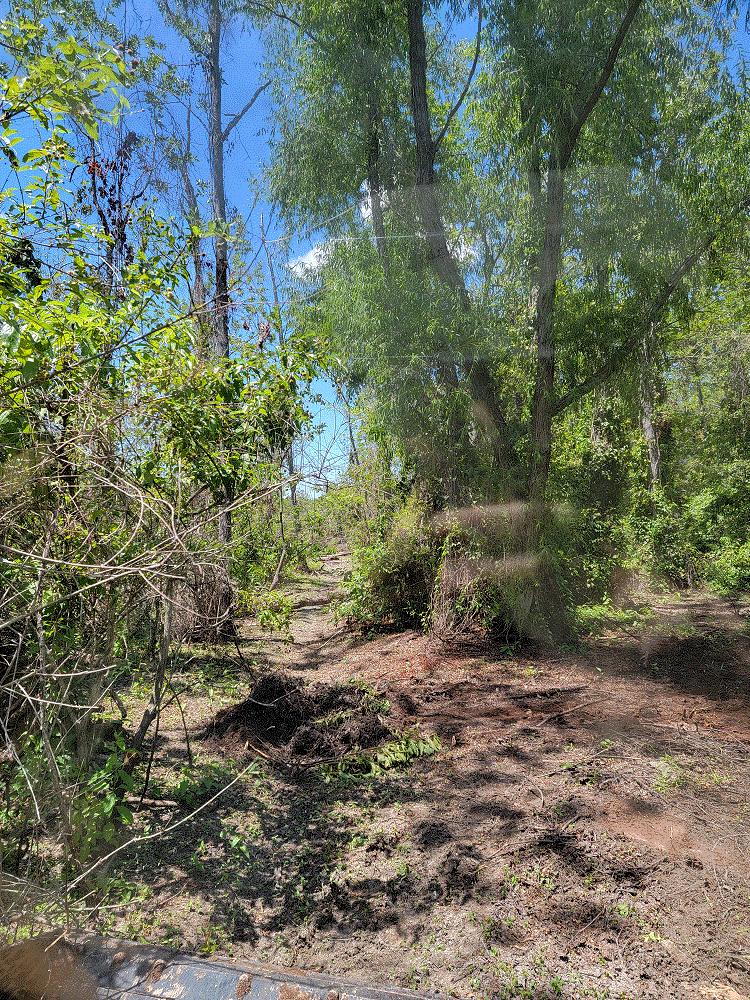 Panther Swamp Drained 4.gif