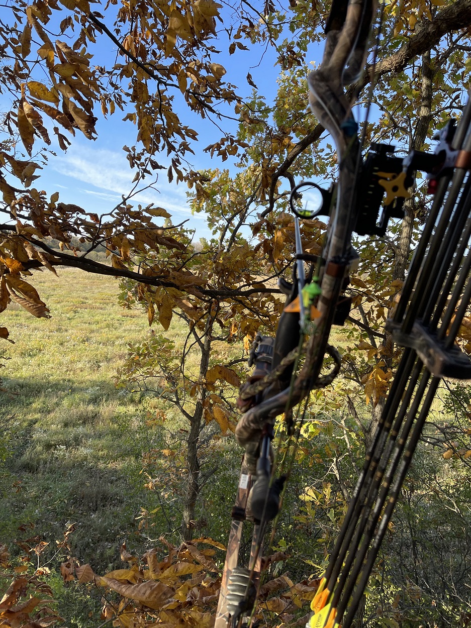 Finger Lakes-2022 Bow-KT.jpg