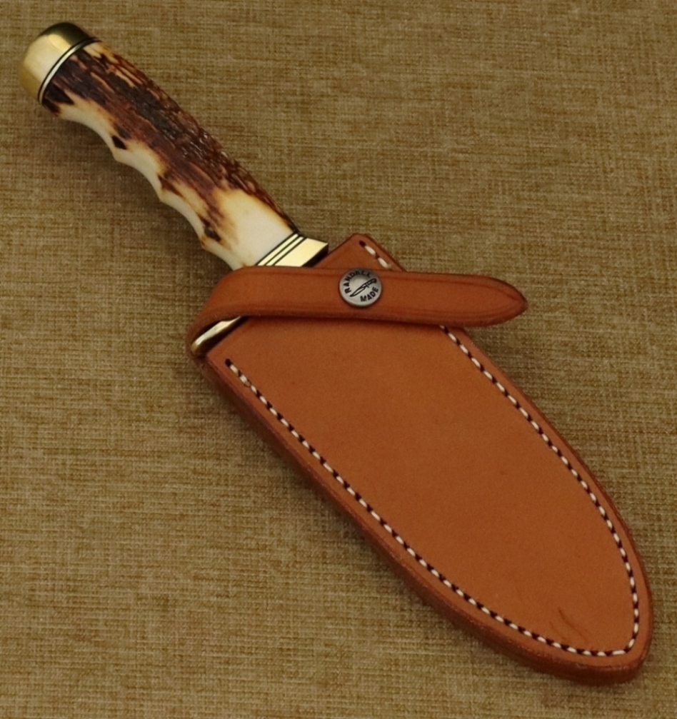 #15-CDT-STAG!-A.JPG