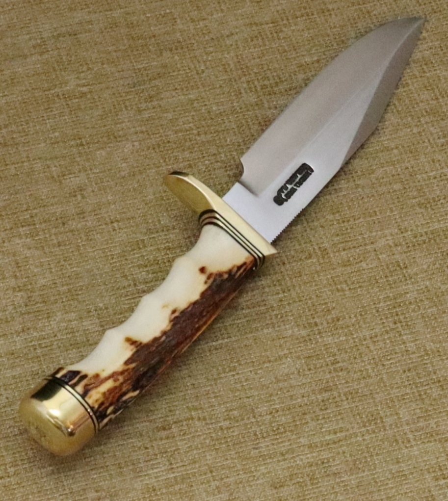 #15-CDT-STAG!-E.JPG
