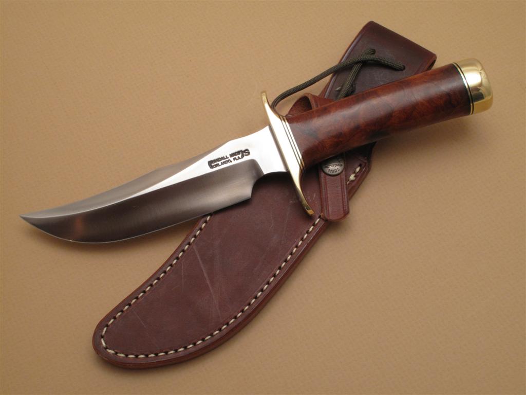 IMG_2033 (Large).JPG