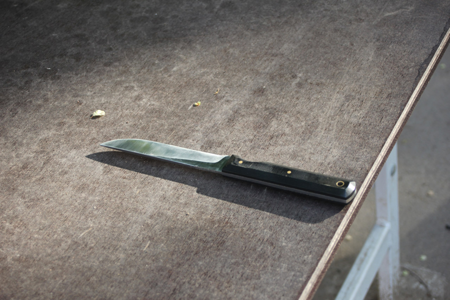 Randall #10-5 and summer and my friend 3 small.jpg