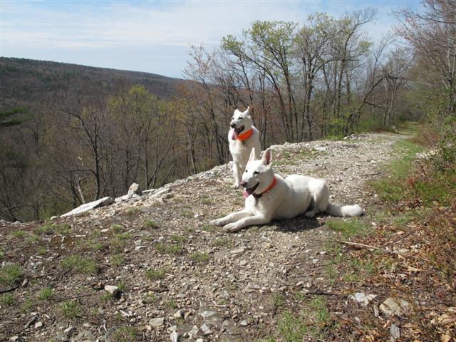 IMG_0004 (Small).JPG