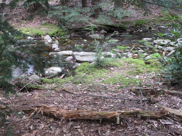 IMG_0040 (Small).JPG