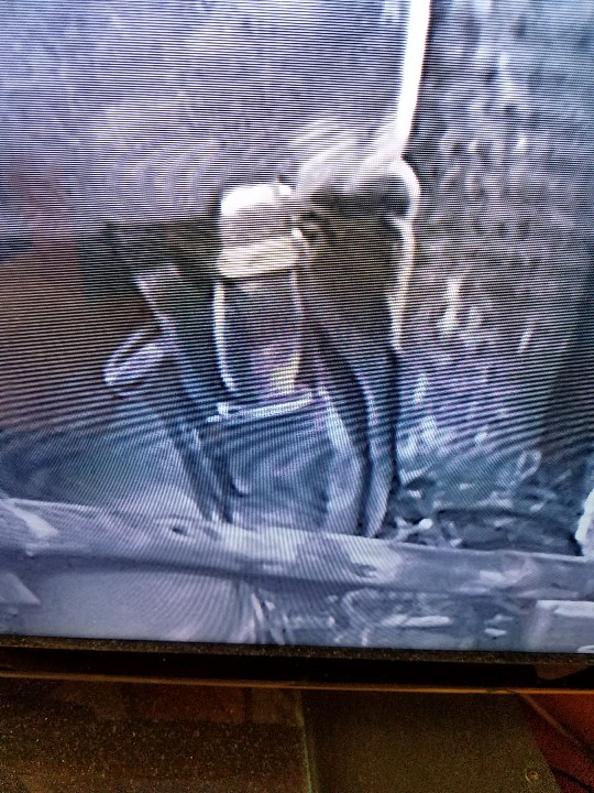 20180414_111216-540x720.jpg 20180414_111216-540x720.jpg