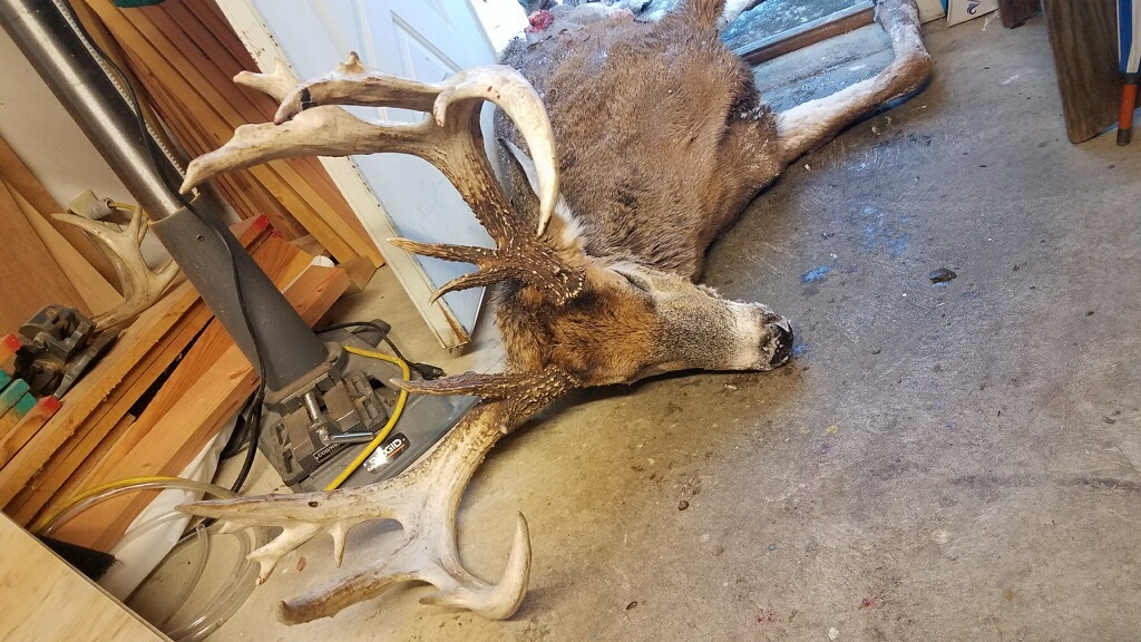 imagejpeg_0(2).jpg imagejpeg_0(2).jpg