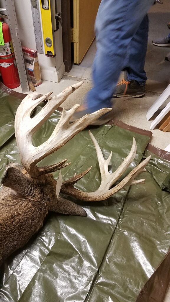 imagejpeg_0(1).jpg imagejpeg_0(1).jpg